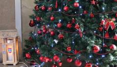 Mini IMG 1413